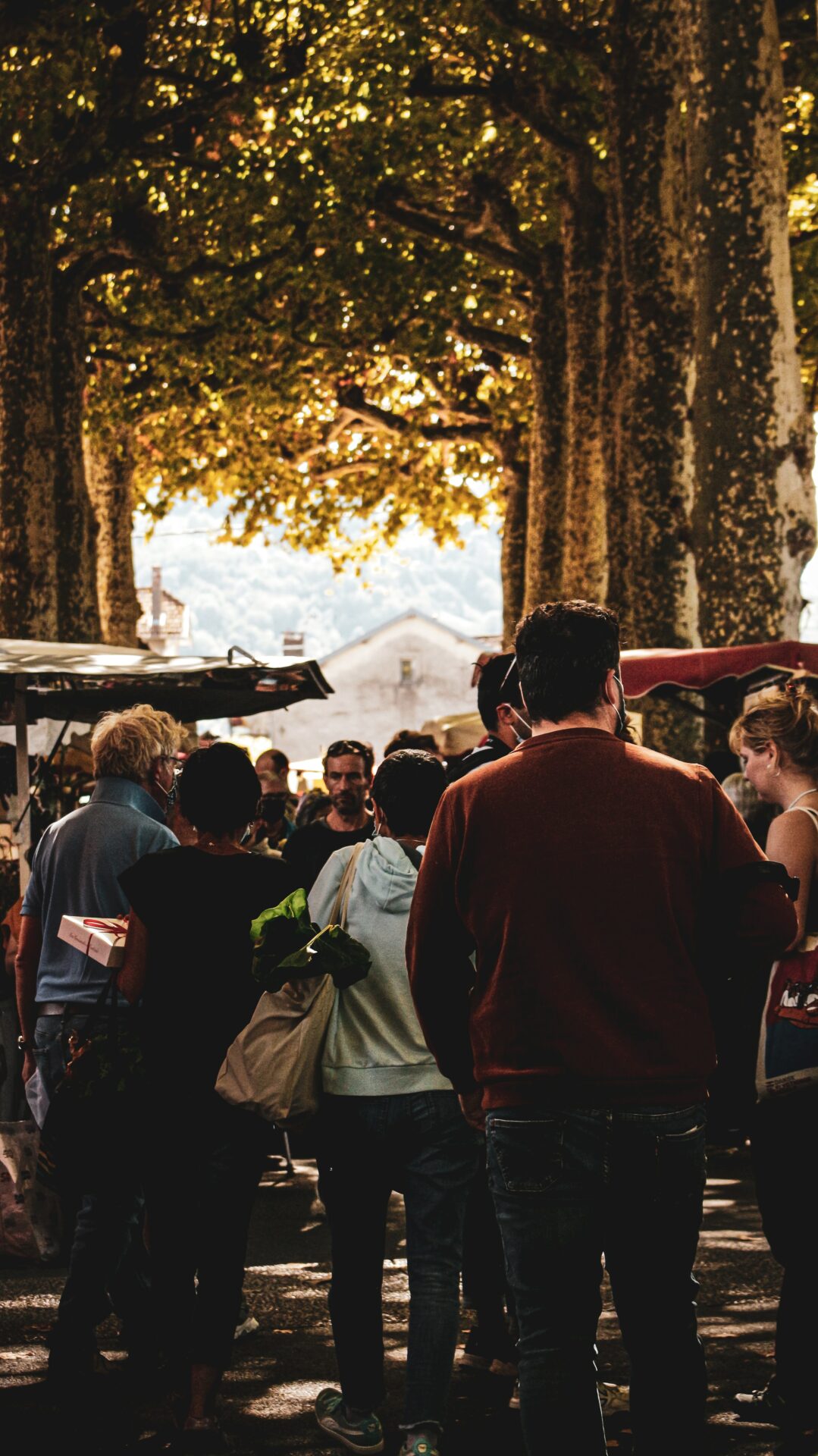 Markt Bormes les mimosas